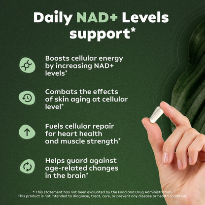 Liposomal NAD+ Nicotinamide Riboside
